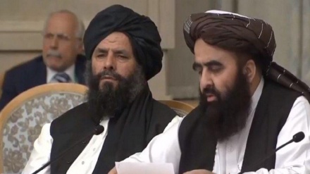 سخنگوی طالبان: ما به دنبال آتش‌بس دائمی هستیم