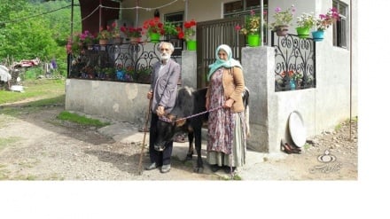 Qiloni məsul şəxson bə Tolışə xeyriyyəçi Nazxatuni ğədrdonəti kardey