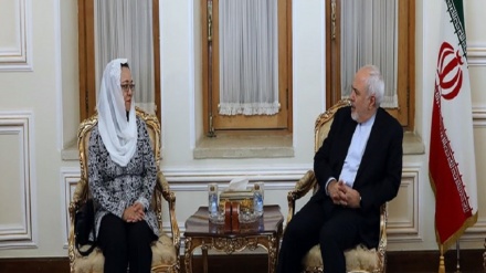 Se reúnen Zarif y jefa de CESPAP 