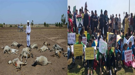 अगर अब न जागे तो कब जागेंगे!!!