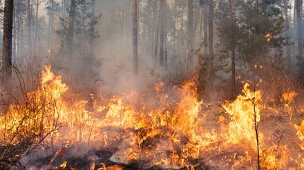 Spagna, caldo e vento: boschi in fiamme