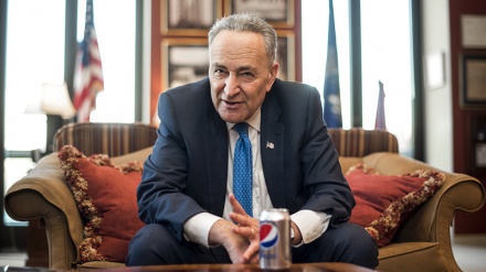 ट्रंप को युद्ध की अनुमति नहीं हैः चक शुमर 