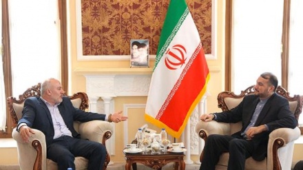 阿卜杜拉希扬：犹太复国主义政权将成为世纪协议的主要输家