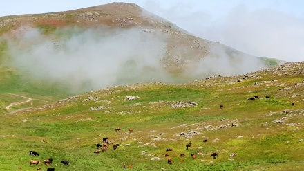 गीलान प्रांत के कुछ सुंदर दृश्य