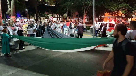 Brasileños defienden la causa palestina ante la ocupación israelí