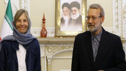 انتقاد رئیس مجلس ایران از عملکرد فرانسه در برجام
