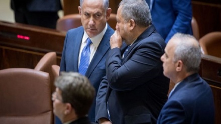 פליק-פלאקים ושפנים