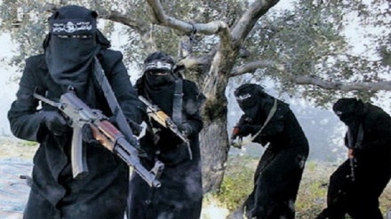 18سال  زندان برای ساکن جذب شده به داعش در دوشنبه