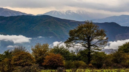 Sulla Terra possibile un nuovo polmone verde salva-clima