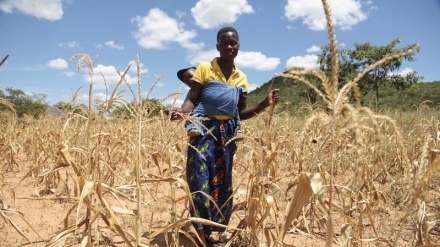 La Terra rischia un apartheid climatico