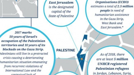 New Zealand government website removes Israel from map