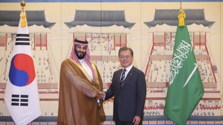 沙特王储与韩国总统文在寅进行会见