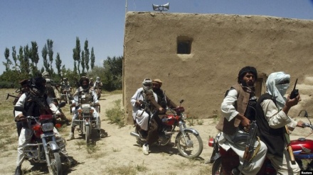 کشته شدن هشت عضو کمیسیون مستقل انتخابات افغانستان بدست طالبان 