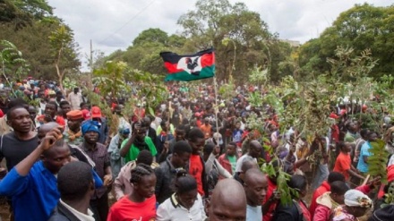 Balozi wa Marekani 'apigwa bomu' katika maandamano nchini Malawi
