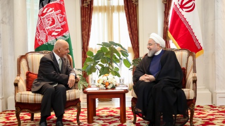 鲁哈尼：伊朗将努力加强阿富汗的稳定与发展