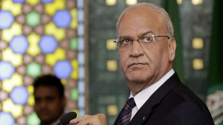 阿拉伯国家无权替巴勒斯坦做任何决定