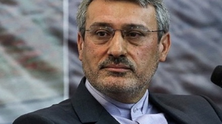 哈米德·巴迪尼贾德：Zaghari丈夫的采访场景是假的