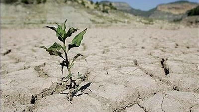 Orta Asya'da Su Krizi