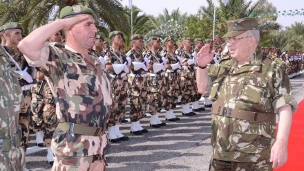 L'Afrique en marche