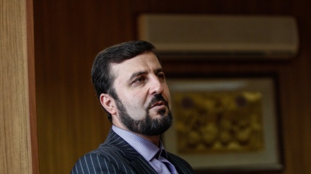 卡泽姆.阿巴迪: 伊核协议成员国将在规定的时间内确保伊朗的利益