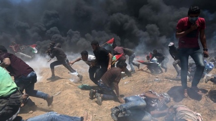 イスラエル人権ＮＧＯ、「イスラエル軍はガザ地区での抗議者を意図的に殺害」