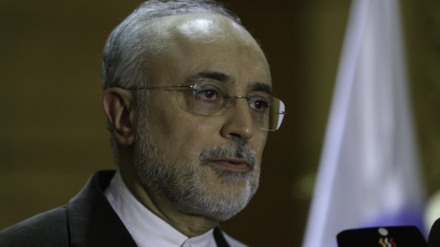 イラン原子力庁長官、「イランは自らの権利と領土保全を追求」