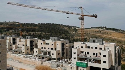 UN must stop illegal settlements in Palestine