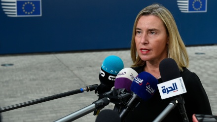 Mogherini pohon dhunën e gjerë kundër grave në Evropë