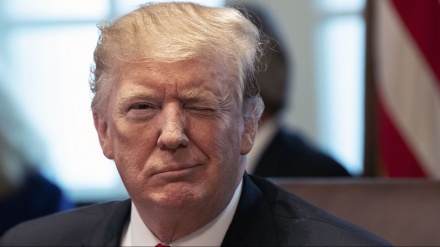 Trump; Dy anët e monedhës (1)