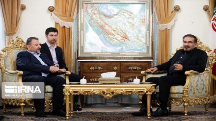 अंतिम जीत तक फ़िलिस्तीनी प्रतिरोध का समर्थन जारी रहेगाः शम्ख़ानी