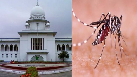 ঢাকায় ডেঙ্গু রোগের প্রকোপ বৃদ্ধি: বিভিন্ন মহলের মিশ্র প্রতিক্রিয়া