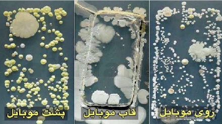 آلودگی ۱۸ برابری گوشی های تلفن همراه نسبت به کاسه‌ توالت 