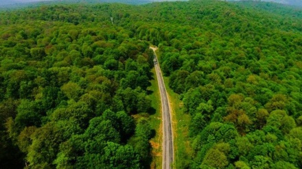 Iran, le foreste miste ircane tra le nuove perle Unesco