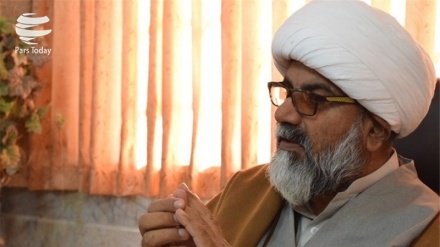 巴基斯坦穆斯林团结大会强调伊斯兰革命最高领袖的指导