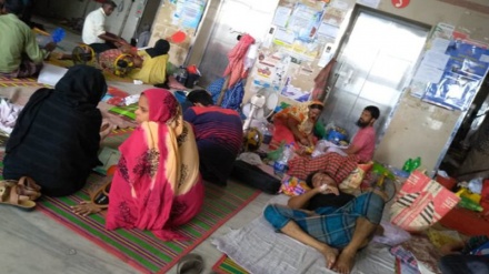 বাংলাদেশের ৬৪ জেলাতেই ডেঙ্গু, ঘণ্টায় হাসপাতালে ভর্তি ৭১ জন