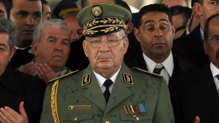 Jeshi Algeria launga mkono kuanza mazungumzo ya kitaifa   