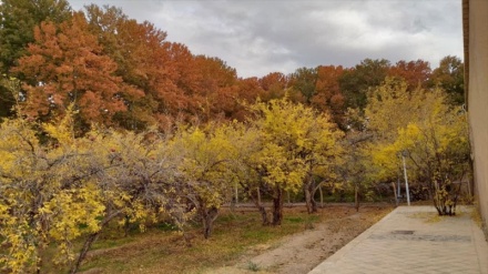 यज़द का ऐतिहासिक पहलवान बाग़ 