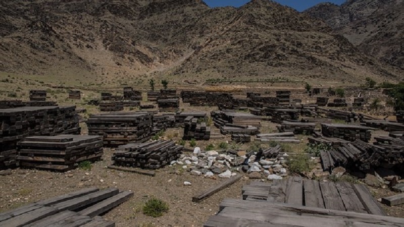 قاچاق چوب منبع اصلی درآمد داعش در افغانستان