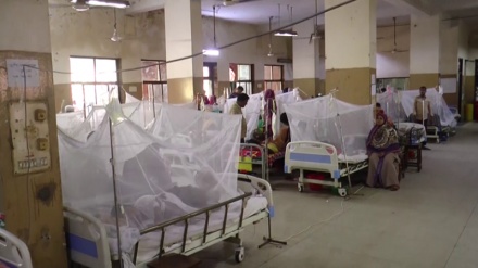 ডেঙ্গুতে আরও তিনজনের মৃত্যু, ২৪ ঘণ্টায় হাসপাতালে ভর্তি ১৯২৯ জন