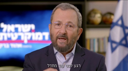 ברק: מערכת הבריאות הקורסת היא עוד 
