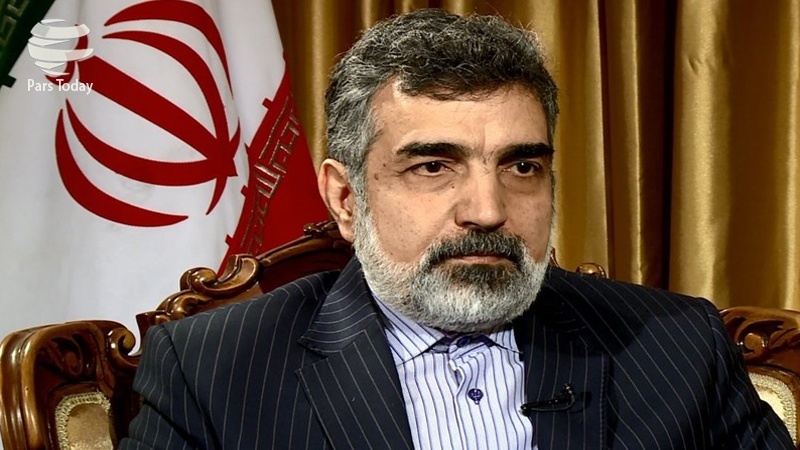 کمالوندی: ایران هیچ پادمان و پروتکل الحاقی را نقض نکرده است