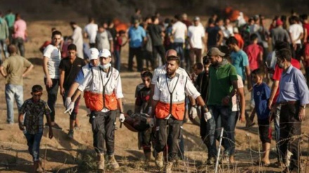 Al menos 40 palestinos heridos por ataques israelíes en Gaza(Video+Fotos)