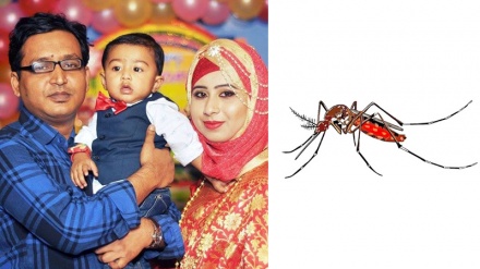 ঢাকায় ডেঙ্গুতে মারা গেলেন আরও এক নারী চিকিৎসক