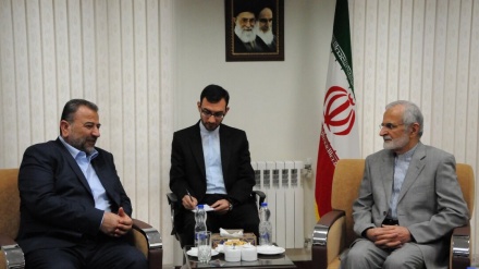 卡迈勒·哈拉齐: 解放巴勒斯坦是伊朗的伟大理想之一