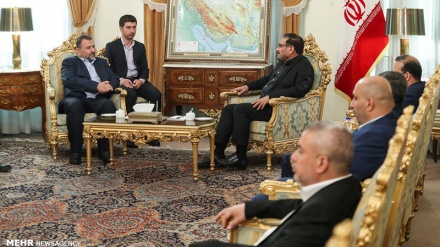 Irán sigue apoyando a Palestina hasta su victoria completa 