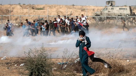 Hieren a 55 palestinos en la Gran Marcha del Retorno (Video+Fotos)