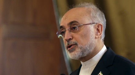 Иран Атом қуаты ұйымының басшысы: Иранда ядролық технологиялар жергіліктендірілді