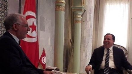 Irán apoya transición legal del poder en Túnez