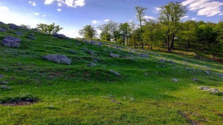 ख़ूबसूरत गुलिस्तान प्रांत की तस्वीरें