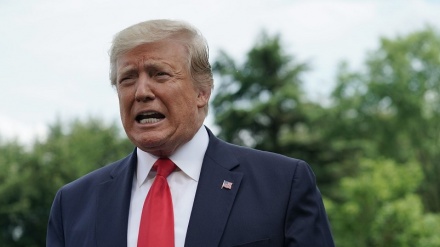 As Trump launches immigration raids Democrats back mass deportations